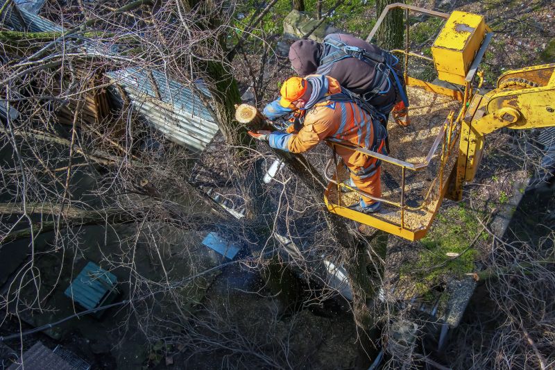 Commercial Tree Service detail