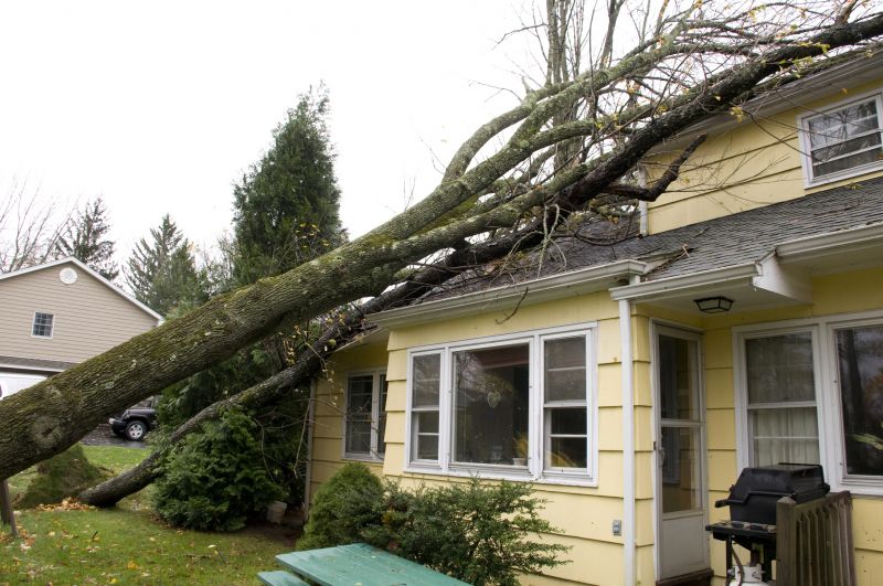 Storm Damage Response