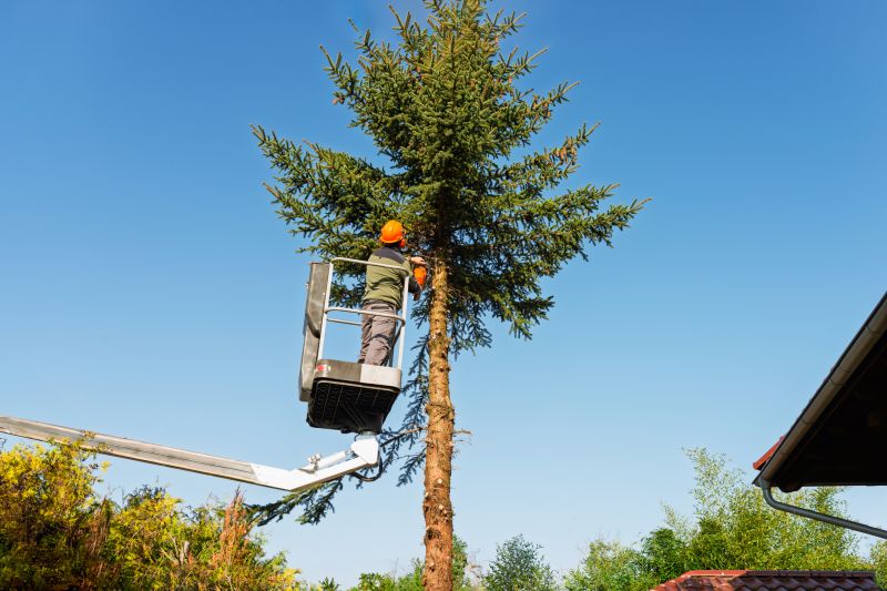 Tree Health Maintenance