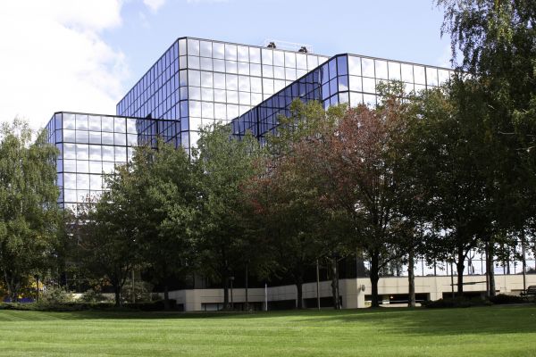 Commercial Tree Trimming in Dover